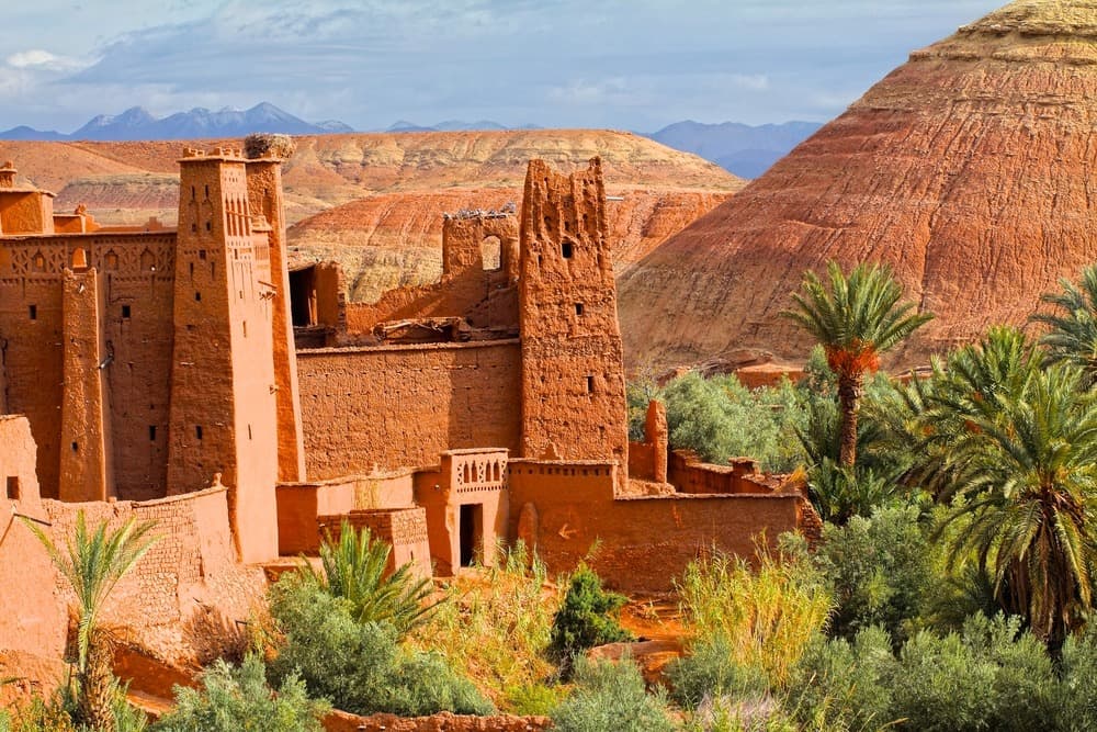 The Oasis of Ouarzazate